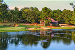 Tobacco Road Announces Stewart Cabin